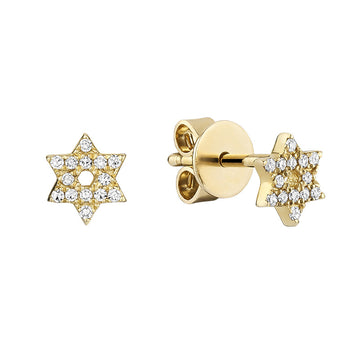 14kt Gold Diamond Star of David Earrings