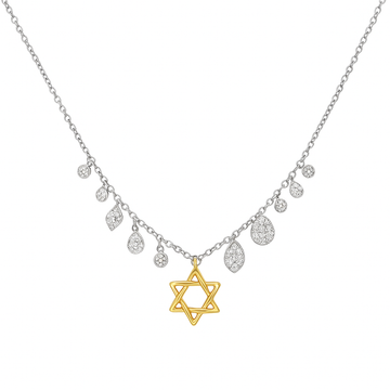14kt White and Yellow Gold Star of David with Pave Charm Necklace