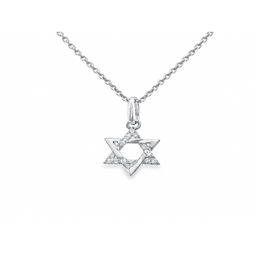 14kt White and Yellow Gold Mini Diamond Star of David