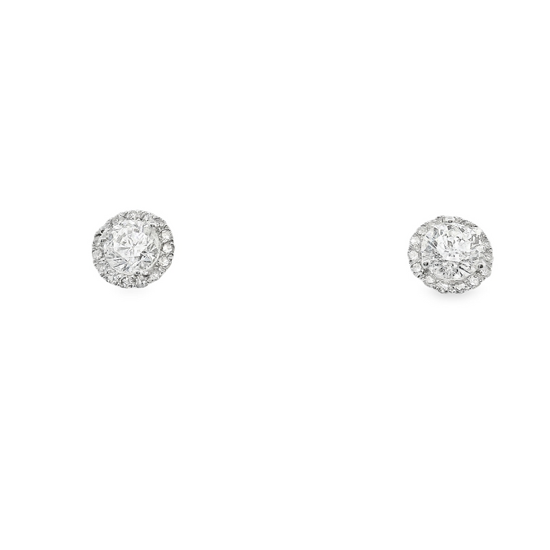 14kt White Gold Martini Halo Diamond Studs