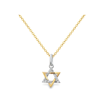 14kt White and Yellow Gold Mini Diamond Star of David