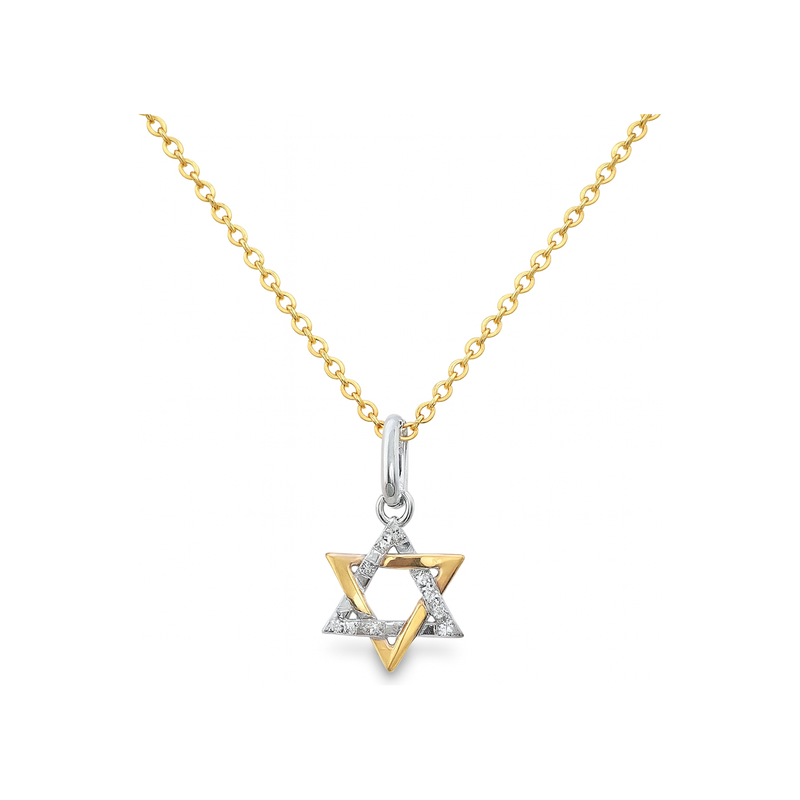 14kt White and Yellow Gold Mini Diamond Star of David
